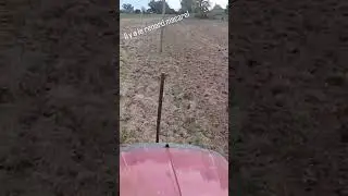 Semis 2025/ Il y a le renard macarel #farming #fypシ #agriculture #tracteur