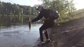 FishUp Tanta 2.5&rdquo; и щука 1.3кг