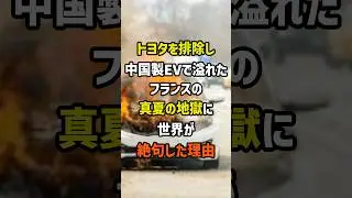 トヨタを排除し中国製EVで溢れたフランスの真夏の地獄に世界が絶句した理由