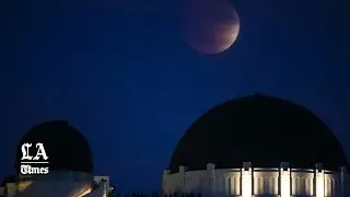 Blood moon rising