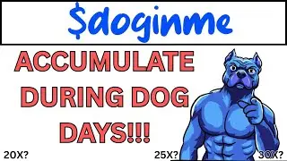 DOGINME IS THE BEST BUY DURING DOG DAYS!