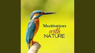 Gentle Spring Sounds