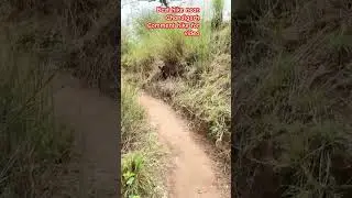 Top 10 places near Chandigarh #treval_vlogs