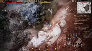 BLACK DESERT CONSOLE: Hash vs toxic mystic!!