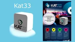 Video Kat 33 Chrysalis