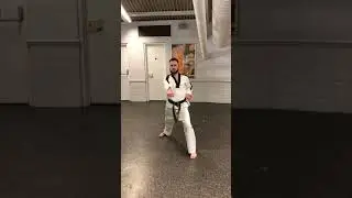 10th Kup   Walking Stance, Middle Block, Reverse Punch
