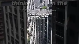 New Normal Height on TOP... #trending #viral #shortsvideo #shorts #top #top5 #top10
