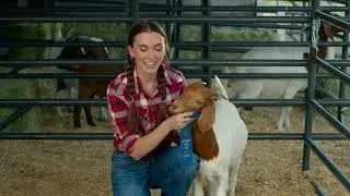 Kentucky State Fair &ndash; Goats :30