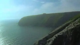 Cape St. Mary's Ecological Reserve: Newfoundland and Labrador Tourism