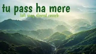 Tu paas ha mere lofi #slowed#reverb 