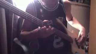 (Luthman) RHCP - Skinny Sweaty Man (Bass Cover)