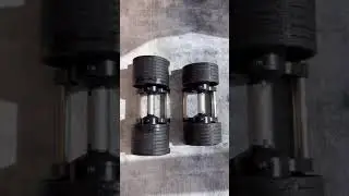 Dumbbell 32 KG /20 KG in UK