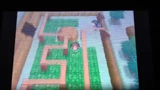Pokemon Black and White 2 - TM HUNT: TM05 ROAR
