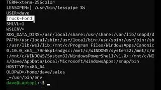 Local and Environmental Variables in Linux / Linux For Beginners / Episode 15  #Learn #linux