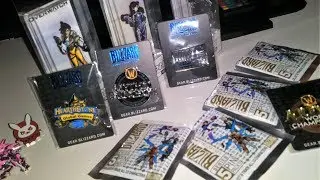 Blizzard pins 2018