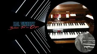 Baldwin Bonanza - Hal Vincent - Baldwin Pro 200