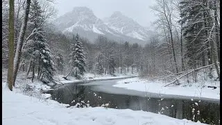 The Heart of Winter