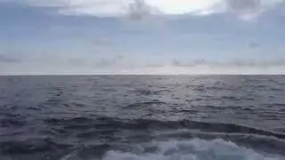 Mantra Mauritius marlin fishing