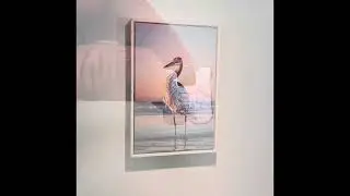 My #1 go to Damage Free Hanging solution