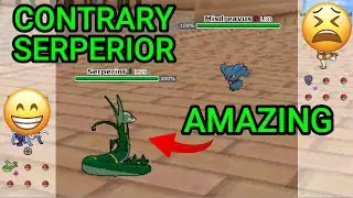 Contrary Serperior Is Great! (Pokemon Showdown Random Battles Blitz) (High Ladder)