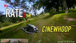 DJI AVATA - M MODE - [НАСТРОЙКА МОИХ РАСХОДОВ] ДЛЯ ФРИСТАЙЛА CINEWHOOPP || АКТИВНЫЙ FPV [2.7K]