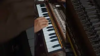 Yeh Reshmi Zulfein - Cover on Harmonium | Rajkumar's Harmonium