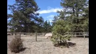 93 Highlands Road Canon City Fremont County CO 81212