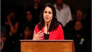Won't run as independent presidential candidate: Tulsi Gabbard | Politics News Network