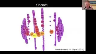 Systems Analysis of Exercise Biology - Prof. David James & Dr. Richard Mackenzie