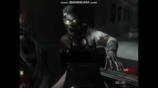 Call of Duty: Black Ops 1 - on PC | [