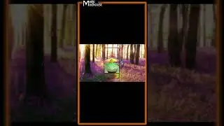 POKEMON GO RADIANT VENUSAUR! #shorts