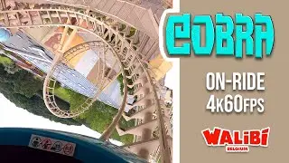 Cobra | On-Ride POV Front - 4k60fps | Vekoma Boomerang | Walibi Belgium