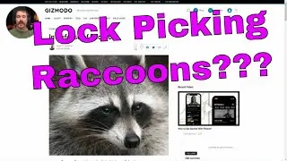 Lock Picking Raccoons?