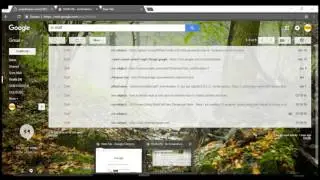 How to Build Your Own Search Engine