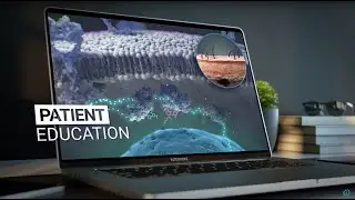 Intervoke Immersive Education