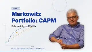 Meaning of beta in the capital asset pricing model (CAPM)