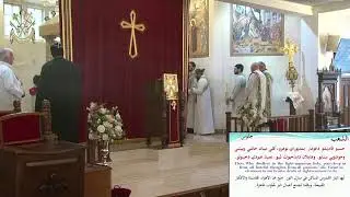 قداس عيد بركه العذراء على الزرع