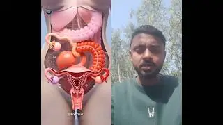 women reproductive system meanstual cycle 3D animation #humananatomy #meastualcycle#3danimation