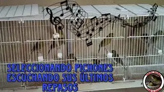 TIMBRADOS ORIGINALES REPASANDO