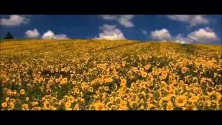 Roberto Cacciapaglia - Wind Song [HD]