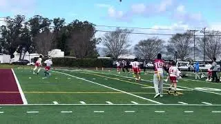 Cardinals MH Flag football