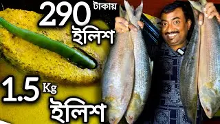 কলকাতায় 290 টাকায় পদ্মার ইলিশ মাছের 12 পদ সঙ্গে ভাত,1.5kg ইলিশ ঘরে পৌঁছে গেলো, Ilishonline.com |