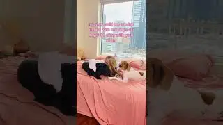 Dog Mom Lifestyle | Cozy Bedroom Decor | Pink Bed Sheets | Funkytown TikTok Trend | Blonde Girl