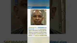 Criminal Aliens Renee Nicole Good Protected The Day She Was Killed
