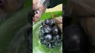 black grapes cutting #shortsfeed #fruit #grape #blackgrapes #yummy #viral #satisfying