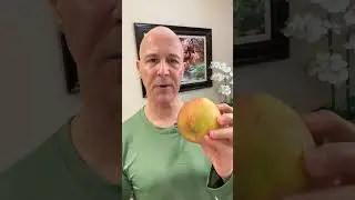 How to Clean Your Produce Bacteria-Free!  Dr. Mandell