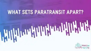 Reforming Paratransit: Navigating Mobility in the Global South