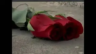 Mario Camacho ..... nada de eso asi cierto..