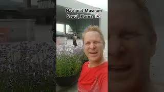 🇰🇷  FREE NATIONAL MUSEUM  Seoul, Korea  #koreatravel #koreatourism #seoultourism #seoultravel #seoul