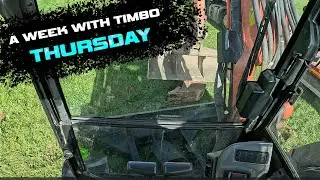 Week with Timbo | Thursday |